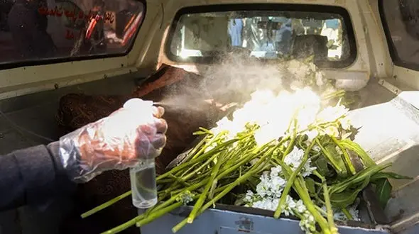 خانم دکتر با کرونا درگذشت + عکس