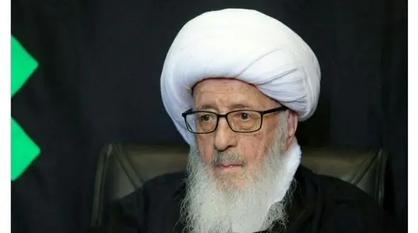 آیت الله وحید خراسانی ارتحال آیت الله صافی گلپایگانی را تسلیت گفت