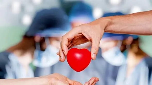 هشتمین رکورد اهدای عضو در یزد؛ روایت ایثار در سال جاری