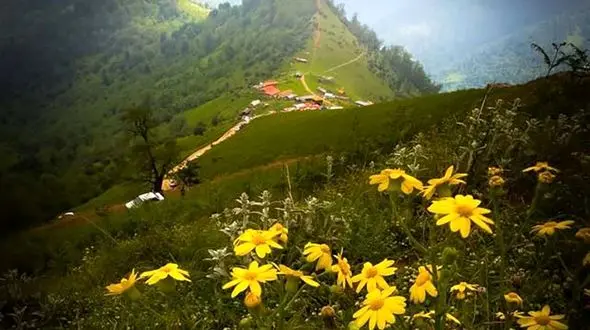 طبیعت بکر ییلاق اولسبلانگاه در بهار + عکس