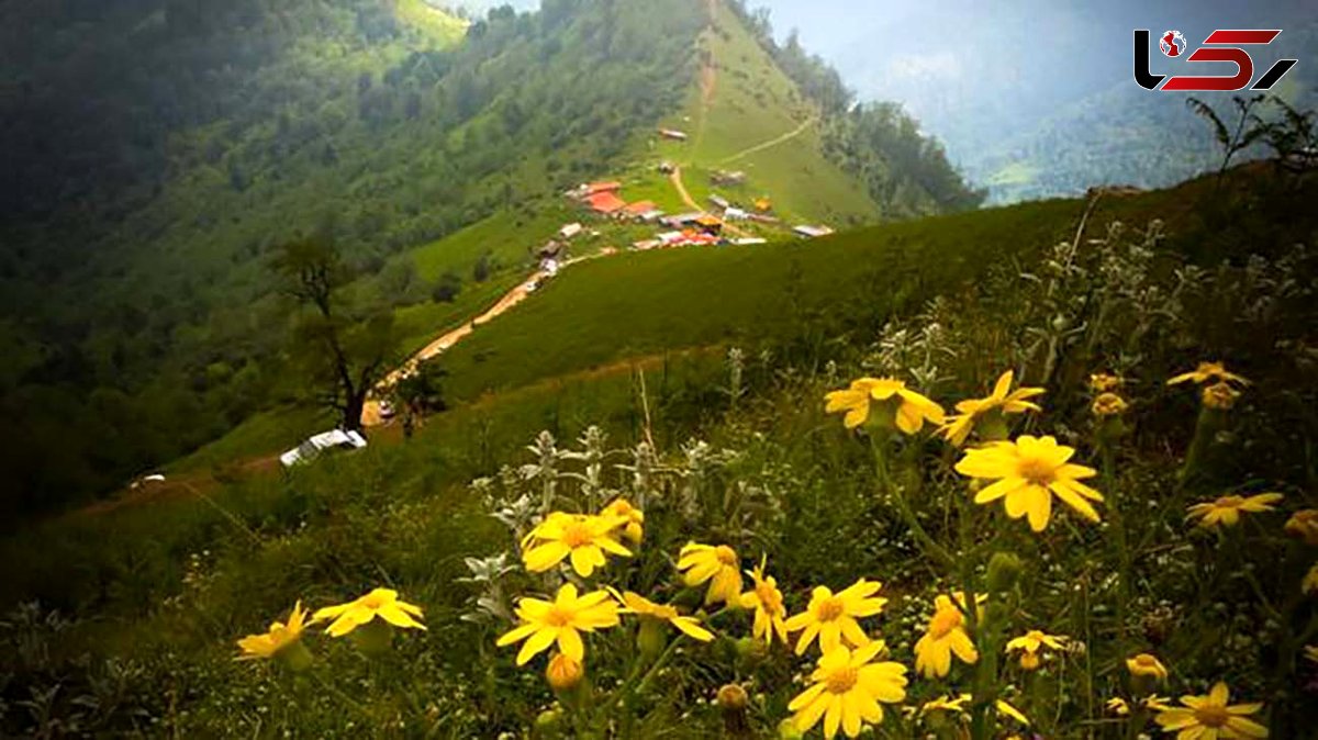 طبیعت بکر ییلاق اولسبلانگاه در بهار + عکس 