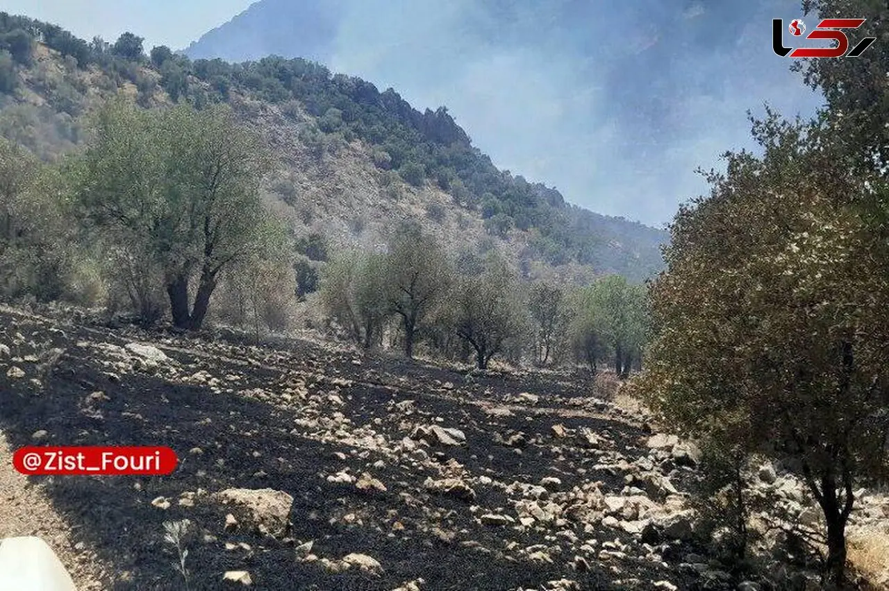 آتش‌سوزی در منطقه حفاظت شده شاهو و کوسالان مهار شد