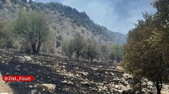 آتش‌سوزی در منطقه حفاظت شده شاهو و کوسالان مهار شد