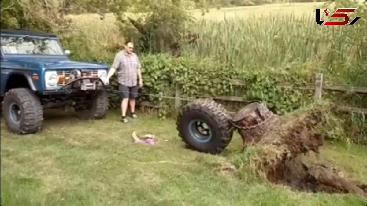 راهنمای کامل بیرون آوردن کنده درخت با بهره‌ گیری از قوانین فیزیکی / فیلم