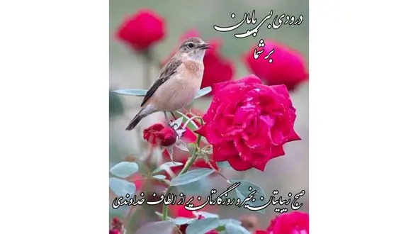 فال ابجد محشر امروز 15 مرداد + فیلم