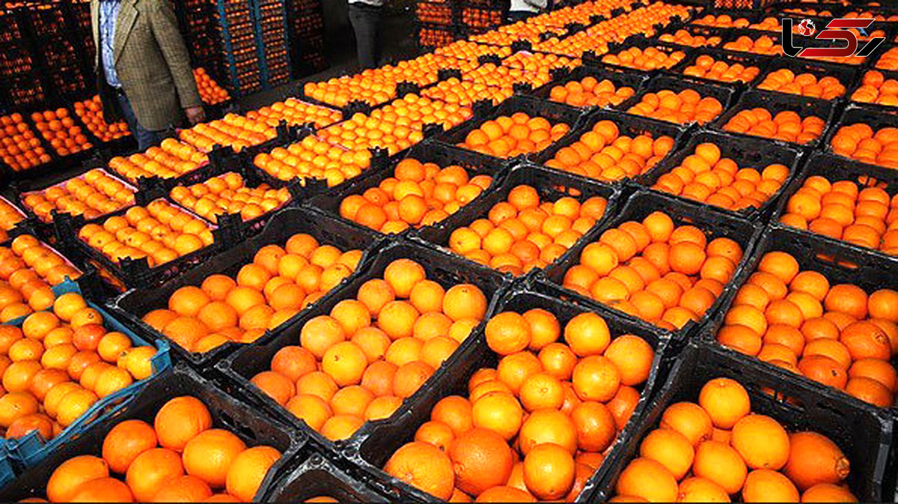جولان پرتقال‌های رنگ‌ شده در بازار میوه و تره بار