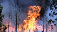 آتش سوزی در جنگل های سوم شعبان دزفول مهار شد+عکس