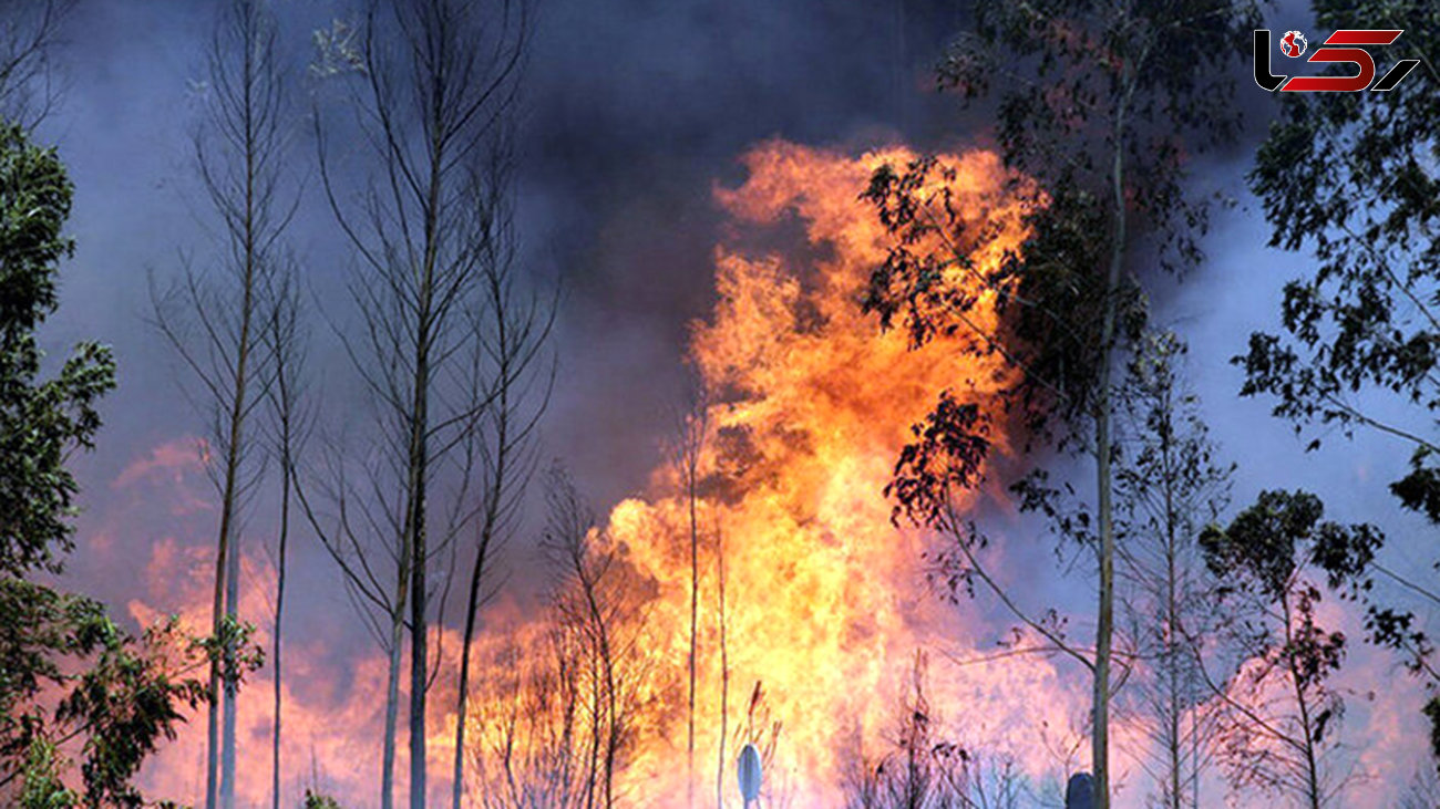 آتش سوزی در جنگل های سوم شعبان دزفول مهار شد+عکس