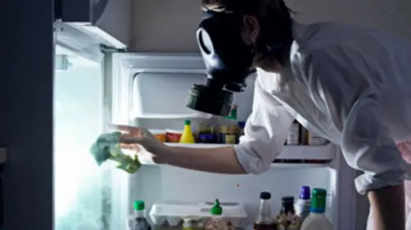 نکات ریز خانه داری؛از بین بردن بوی بد یخچال