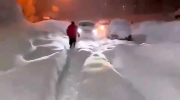 از بارش برف سنگین در آرژانتین تا کوسه ها در ساحل توریستی