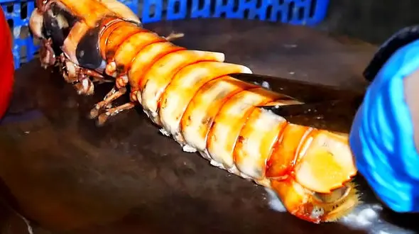 سفر به دنیای غذاهای خیابانی ویتنام؛ میگوهای سنتی در هانوی + فیلم