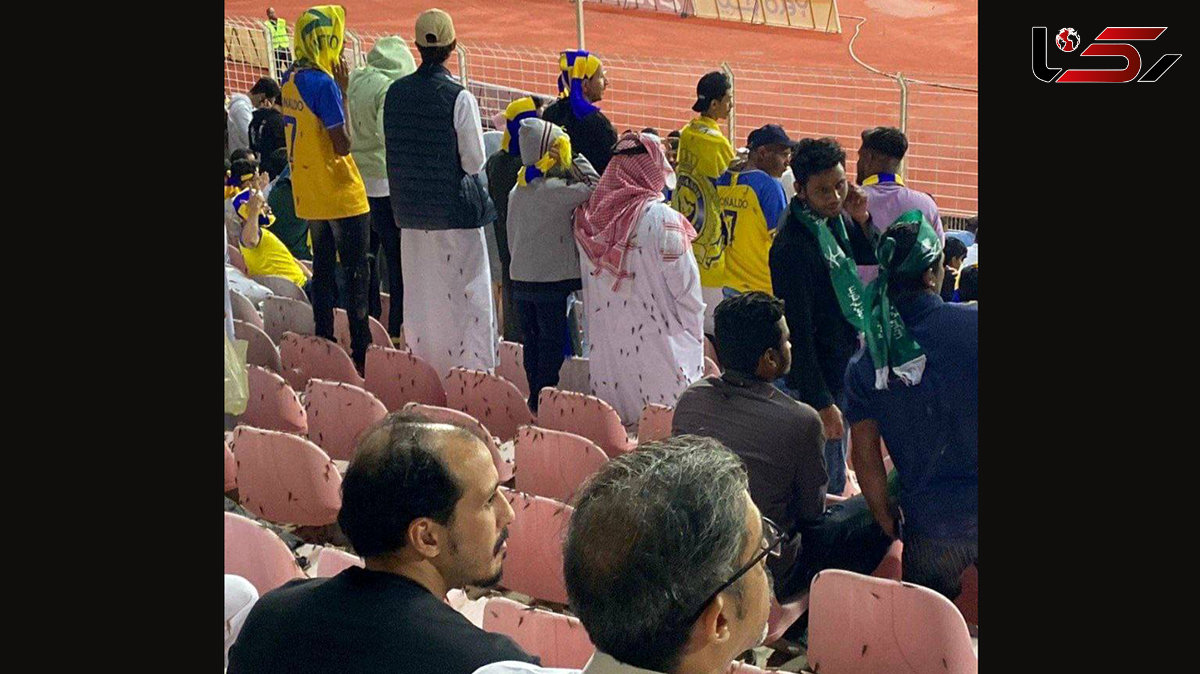 فیلم وحشتناک از هجوم ملخ ها به بازی النصر و الوحده / تماشاچیان خونسرد را ببینید