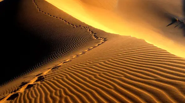 اطلاعیه میراث فرهنگی درباره ورود به کویر مرنجاب