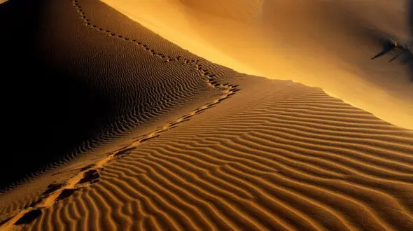 اطلاعیه میراث فرهنگی درباره ورود به کویر مرنجاب