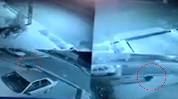 وحشت ازخرس سیاه در خیابان های رودان + فیلم
