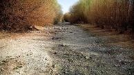 رودخانه ارس یک روز بدون آب را ثبت کرد/ زنگ بحران اقلیمی در شمال غرب ایران به صدا در آمد