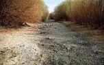 رودخانه ارس یک روز بدون آب را ثبت کرد/ زنگ بحران اقلیمی در شمال غرب ایران به صدا در آمد