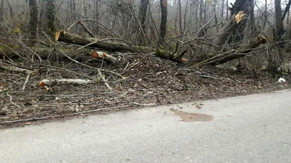 وحشت از تند باد در انزلی + فیلم باورنکردنی