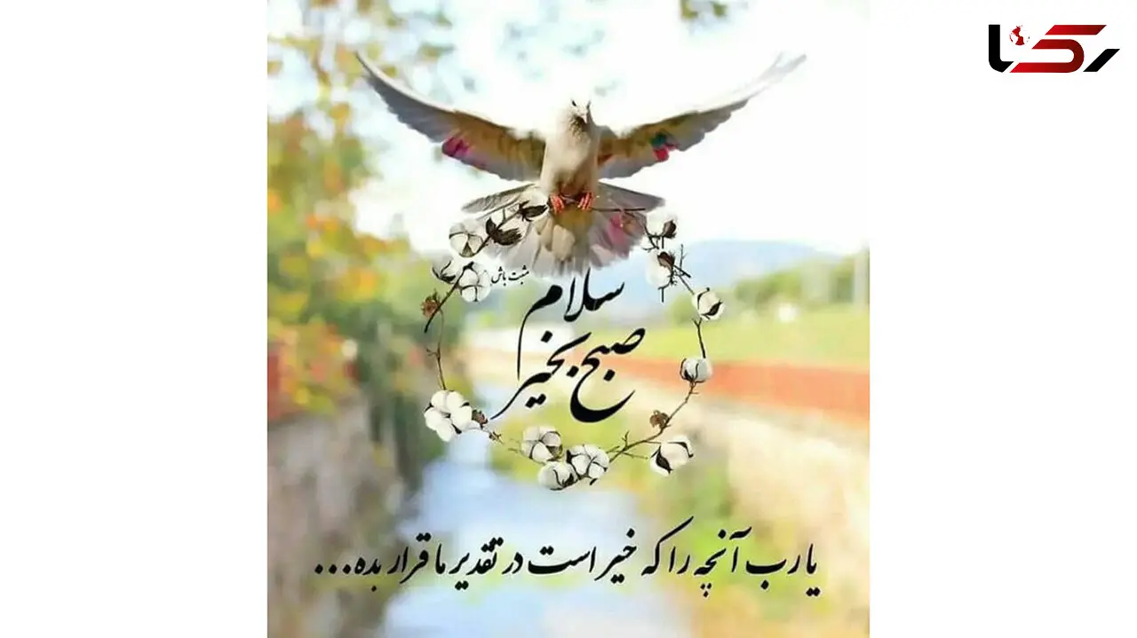فال ابجد امروز 28 تیر ماه 1405