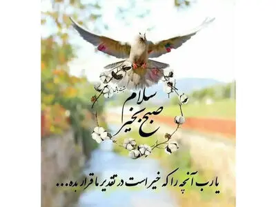 فال ابجد امروز 28 تیر ماه 1405