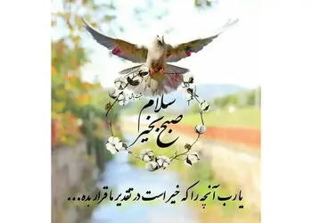 فال ابجد امروز 28 تیر ماه 1405
