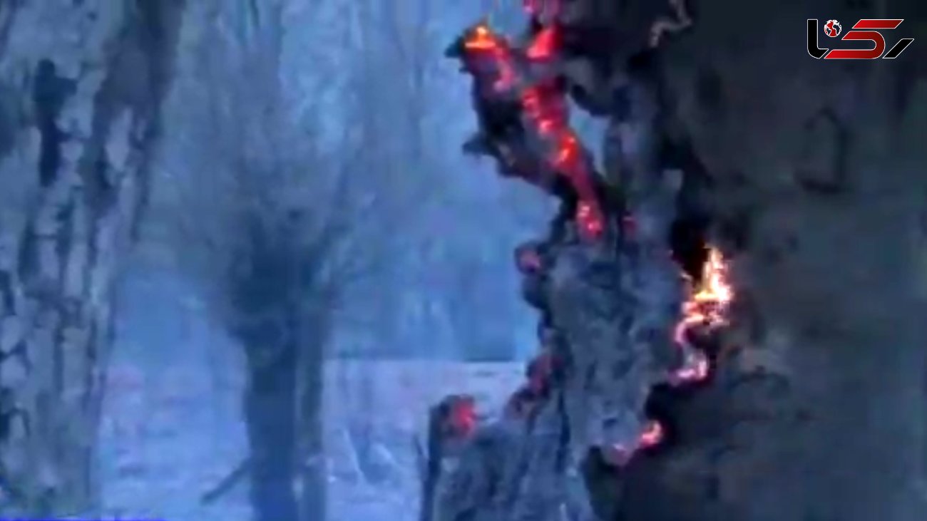 جدال با آتش در جنگل‌های مازندران با ابزار سمپاشی + فیلم تلخ