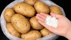 ترفندهای ساده برای نگهداری سیب زمینی تا 6 ماه بدون جوانه زدن / فیلم