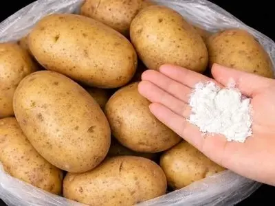 ترفندهای ساده برای نگهداری سیب زمینی تا 6 ماه بدون جوانه زدن / فیلم