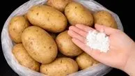 ترفندهای ساده برای نگهداری سیب زمینی تا 6 ماه بدون جوانه زدن / فیلم