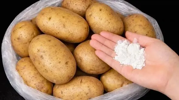 ترفندهای ساده برای نگهداری سیب زمینی تا 6 ماه بدون جوانه زدن / فیلم