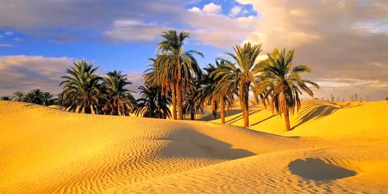 کویر زیبای طبس