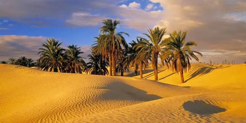 کویر زیبای طبس