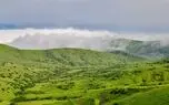 رئیس سازمان محیط زیست از آق مشهد اطلاعات درستی ندارد / دو برابر شهر ساری جنگل وقف شده است 