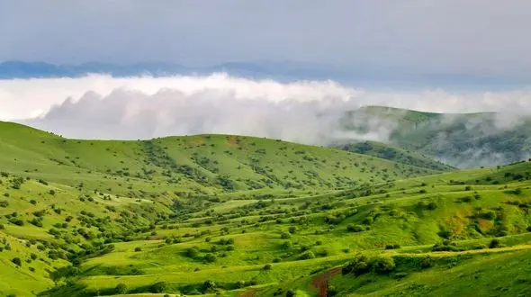 رئیس سازمان محیط زیست از آق مشهد اطلاعات درستی ندارد / دو برابر شهر ساری جنگل وقف شده است 