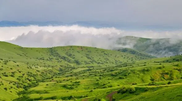 رئیس سازمان محیط زیست از آق مشهد اطلاعات درستی ندارد / دو برابر شهر ساری جنگل وقف شده است 