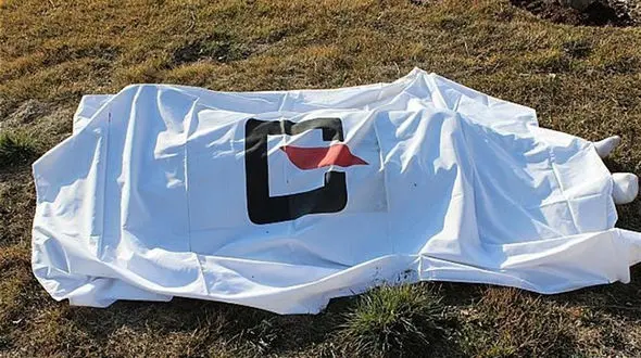  مرگ تلخ پیرمرد هنگام کوهنوردی با نوه اش در دارآباد