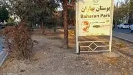 فیلم / اینجا پارک بهاران باغ فیض گل‌ها خشک شدند، درختان قطع شدند / اولویت شهرداری منطقه ۵ پل های میلیاردی دوچرخه است یا فضای سبز؟ 