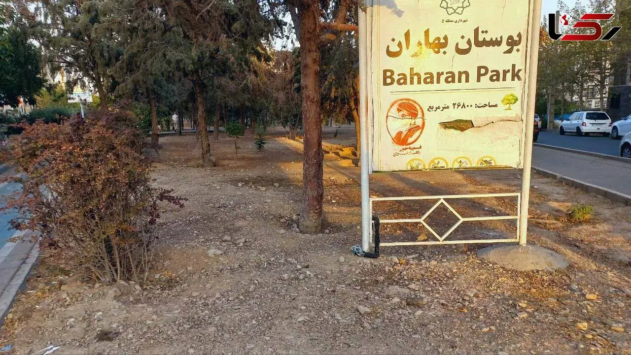 فیلم / اینجا پارک بهاران باغ فیض گل‌ها خشک شدند، درختان قطع شدند / اولویت شهرداری منطقه ۵ پل های میلیاردی دوچرخه است یا فضای سبز؟ 
