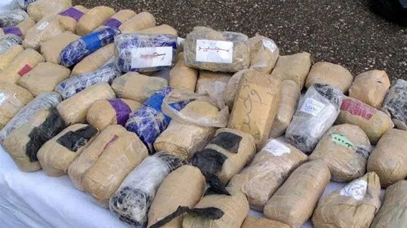  ۴۸ کیلو مواد مخدر با پوشش مرکبات کشف شد