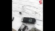 سر خوردن و تصادف عجیب خودروهای سواری در قیطریه تهران + فیلم