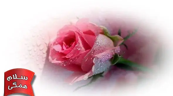 فال ابجد محشر 8 اسفند + فیلم