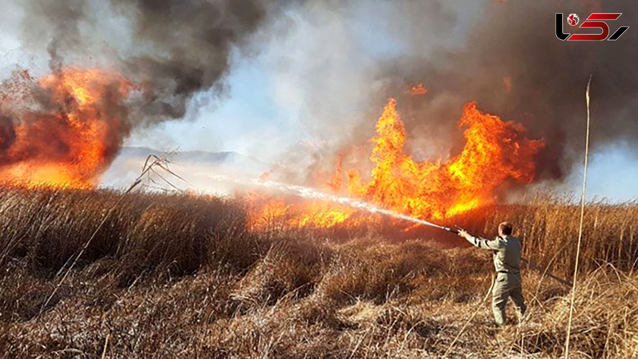  آتش‌سوزی در مزارع سرپل‌ذهاب/ 2 آتش‌نشان مصدوم شدند 