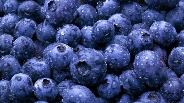 چهار  ماده غذایی که در طول تابستان شما را لاغر نگه خواهند داشت