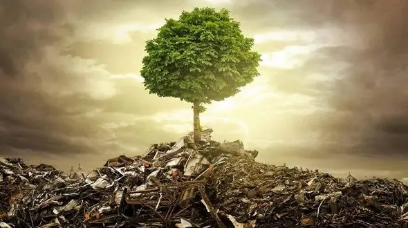 رونمایی از «اطلس آلودگی سواحل مکران» توسط سازمان محیط زیست