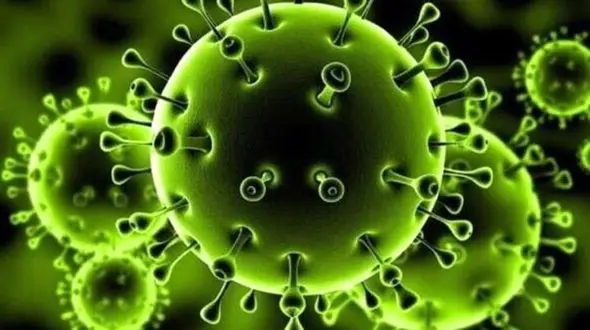 خبر خوش کرونایی در قم / فوتی های کرونایی در قم به صفر سید