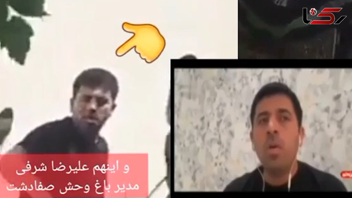 فیلم دروغ بزرگ در ماجرای تلخ 3 گورخر