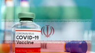 تا پایان بهمن ماه همه داوطلبان واکسن ایرانی کرونا دریافت می کنند