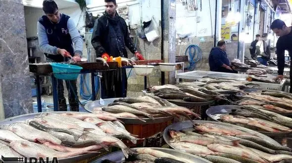 قیمت ماهی و قیمت میگو در بازار یکشنبه 9 آذر 99 + جدول