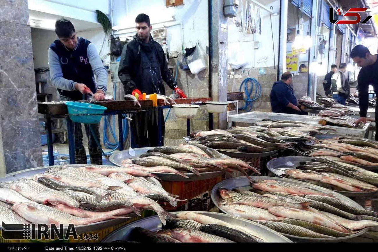 قیمت ماهی و قیمت میگو در بازار یکشنبه 9 آذر 99 + جدول