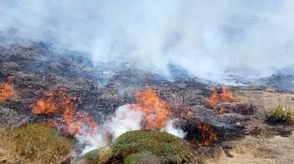منابع طبیعی: حریق در بخشی از جنگل ابر شاهرود/ وسعت آتش‌سوزی محدوده‌ای بین ۵۰۰ تا ۱۰۰۰ متر مربع است